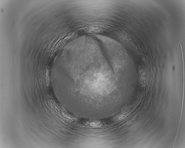 X0000053050506200507251427