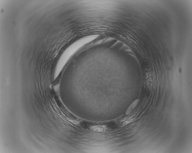 X0000053050508200507251427