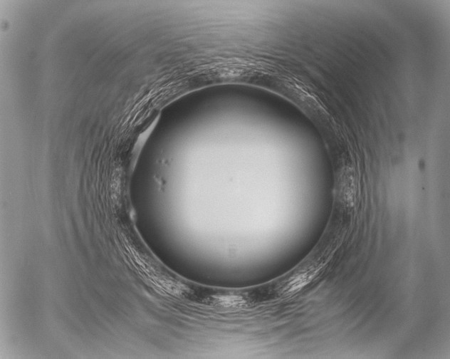 X0000053050509200507251427