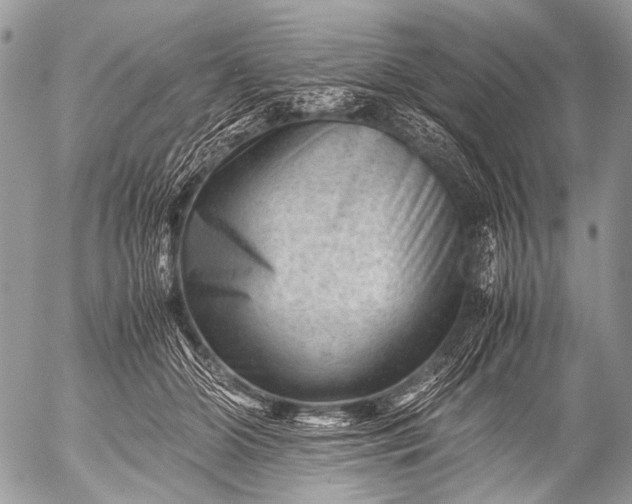 X0000053050510200507251427