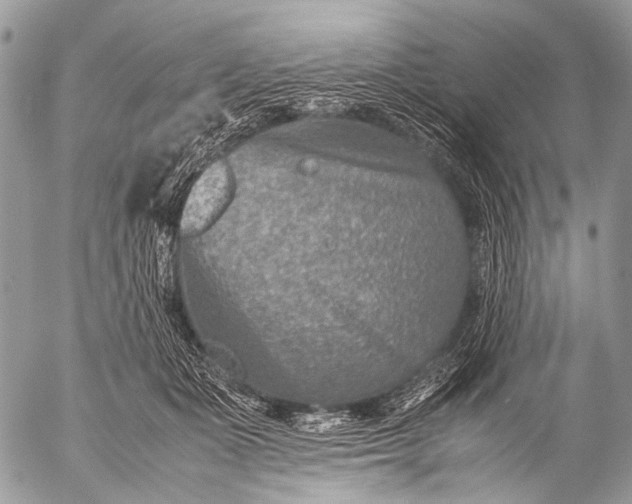 X0000053050511200507251427