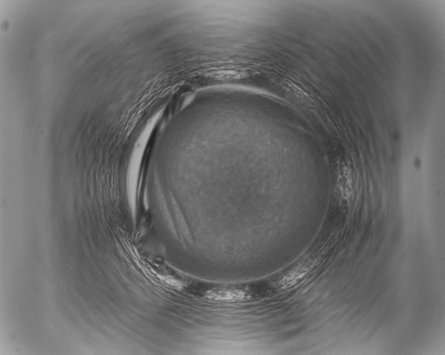 X0000053050512200507251427