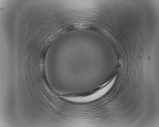 X0000053050513200507251427