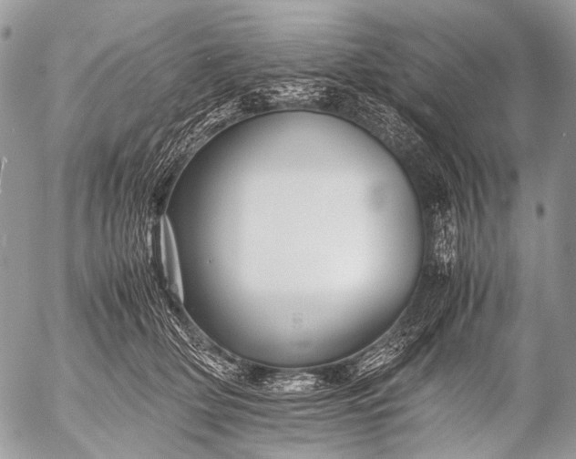 X0000053050514200507251427