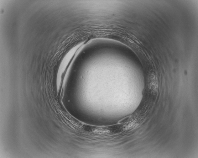 X0000053050515200507251427