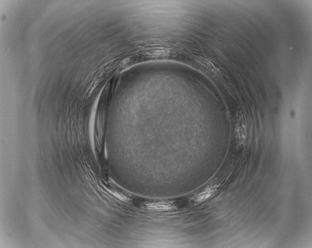 X0000053050516200507251426