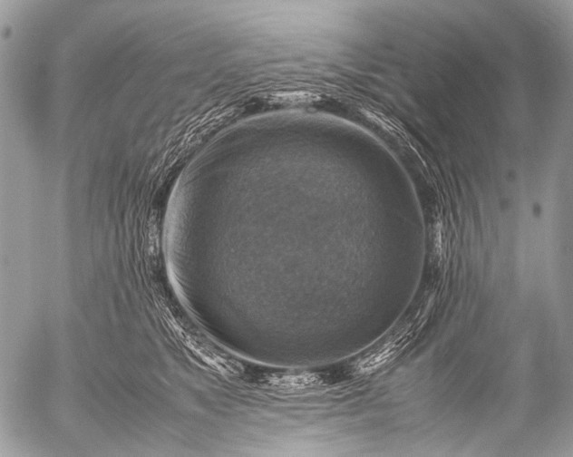 X0000053050517200507251426