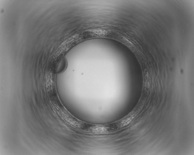 X0000053050518200507251426