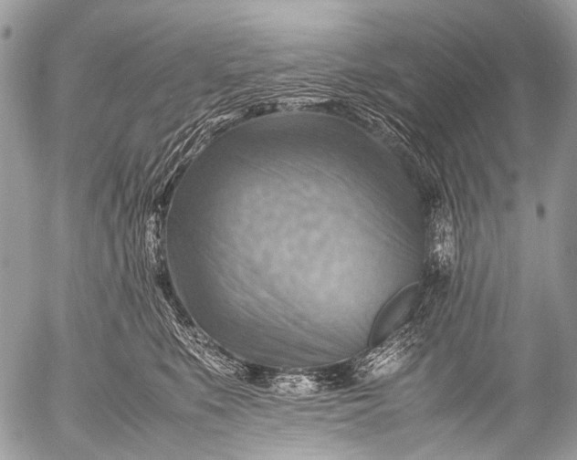 X0000053050519200507251426