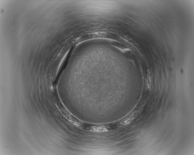 X0000053050520200507251426