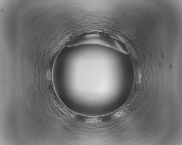 X0000053050521200507251426