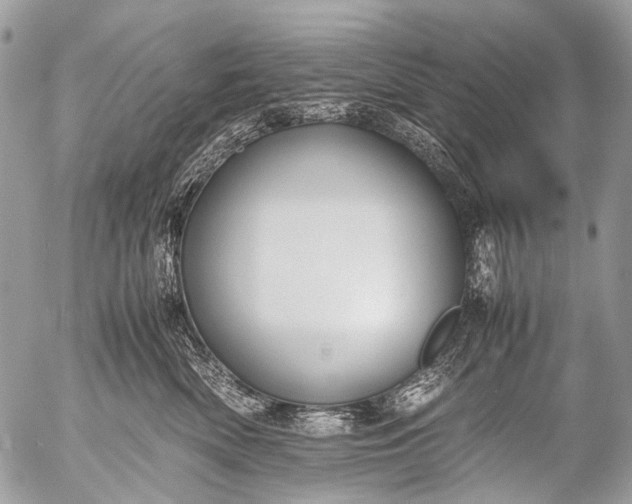 X0000053050522200507251426