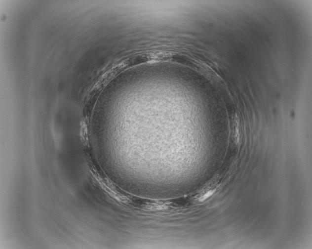 X0000053050523200507251426