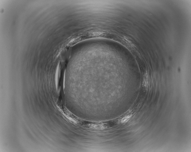 X0000053050524200507251426