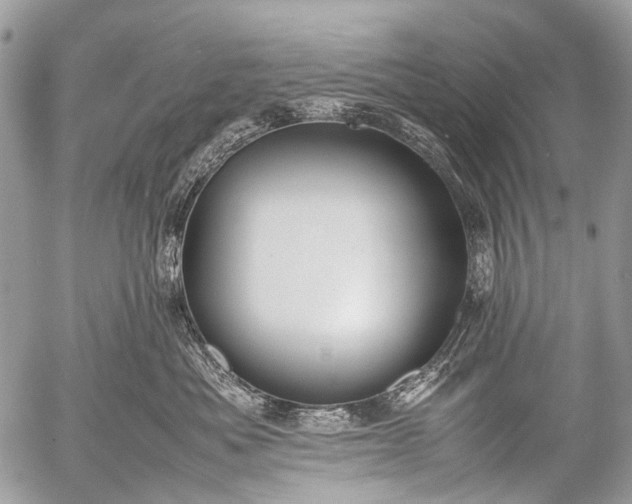 X0000053050525200507251426