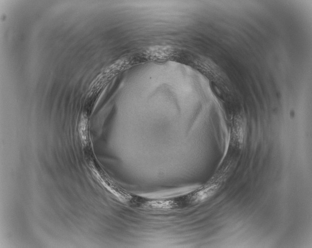 X0000053050526200507251426