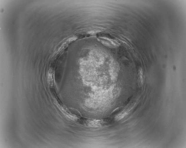 X0000053050527200507251426