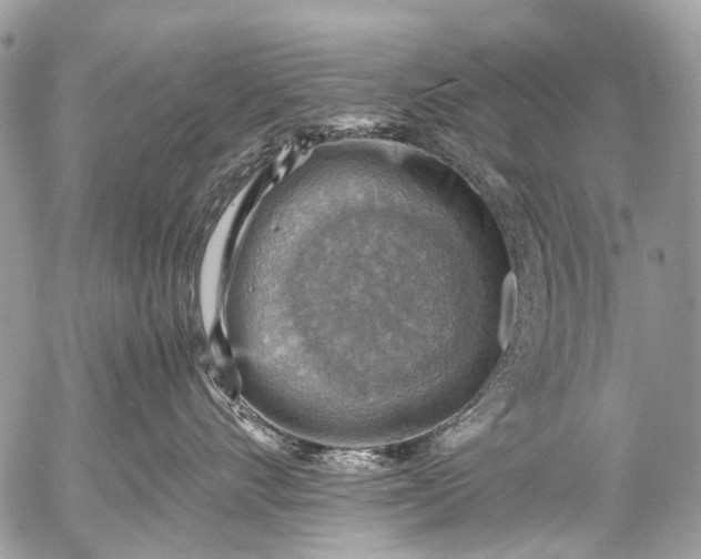 X0000053050528200507251426