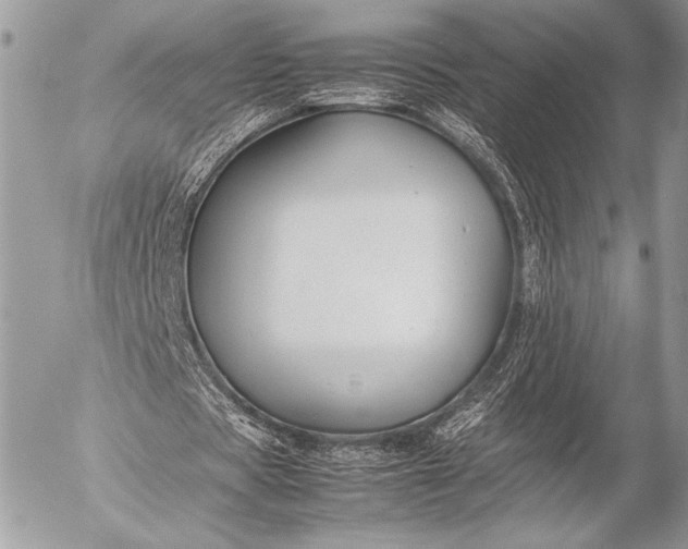 X0000053050529200507251425