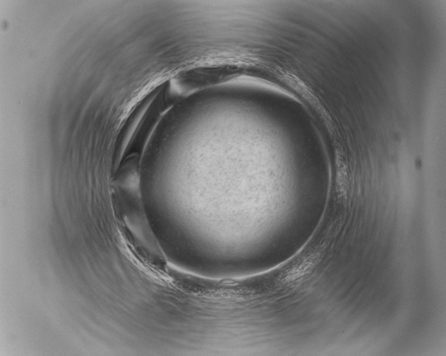 X0000053050530200507251425