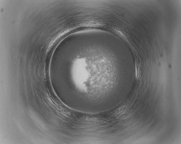 X0000053050531200507251425