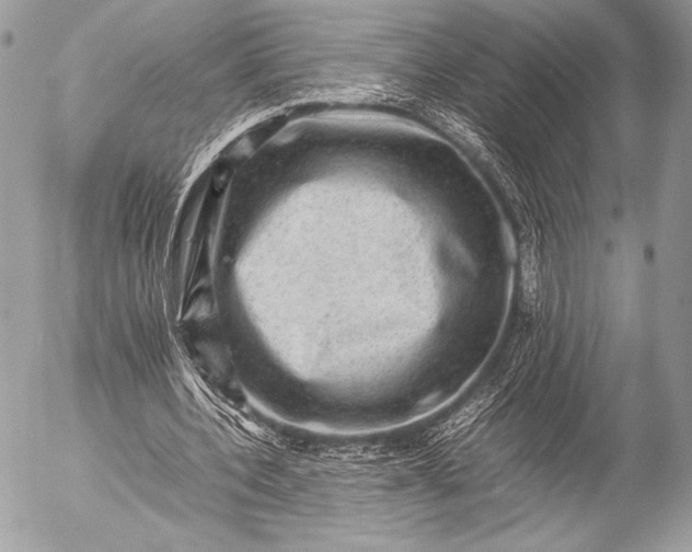 X0000053050532200507251425