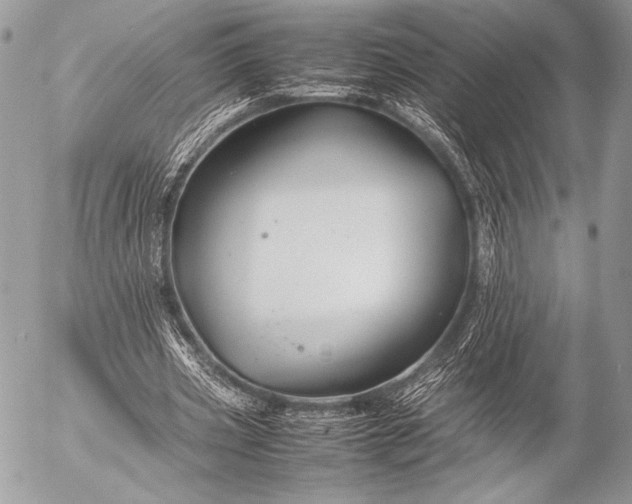 X0000053050533200507251425