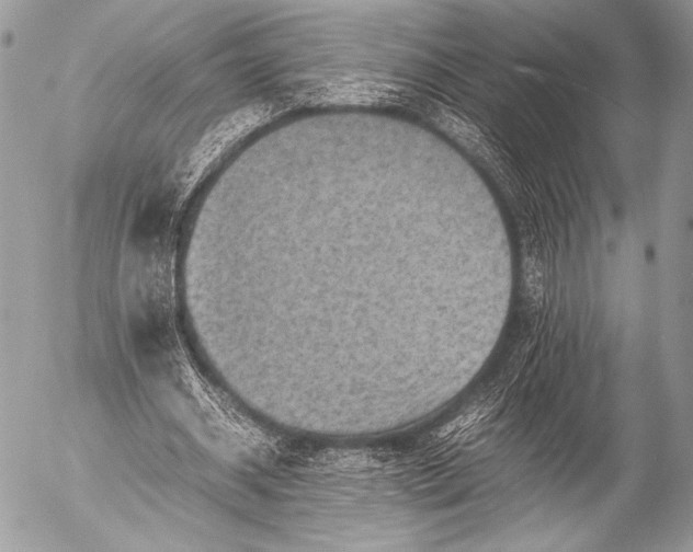 X0000053050534200507251425