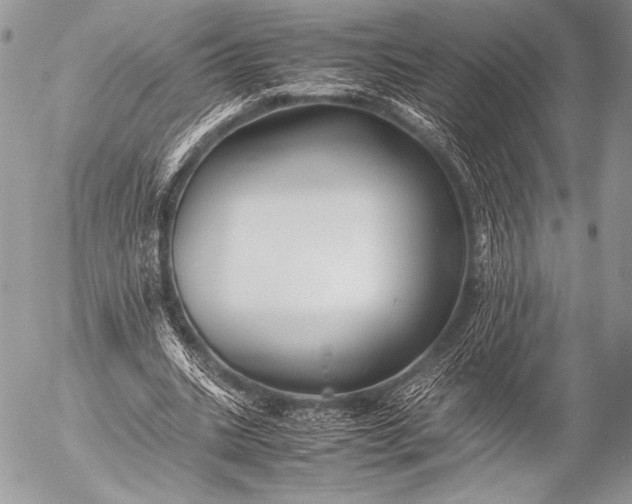 X0000053050535200507251425