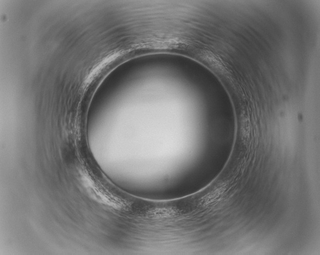 X0000053050536200507251425