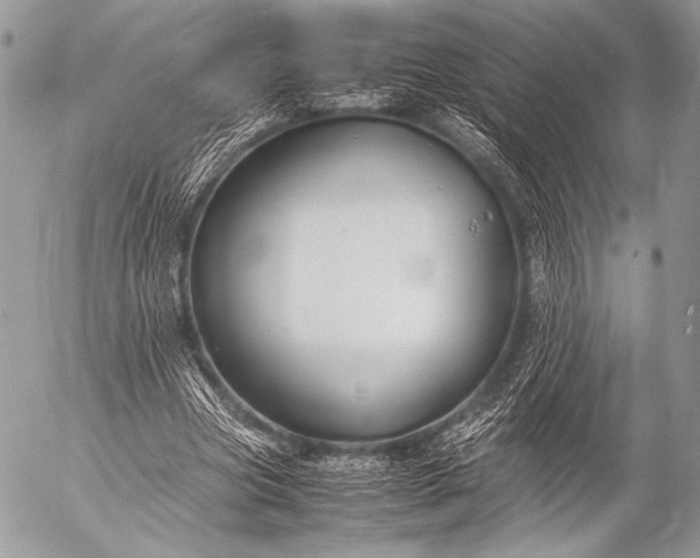 X0000053050537200507251425