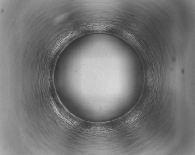 X0000053050538200507251425