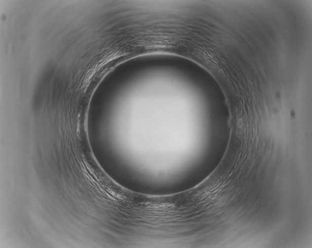 X0000053050539200507251425