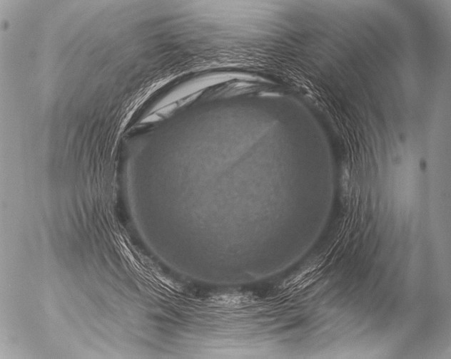 X0000053050540200507251425