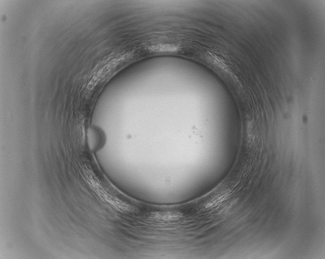 X0000053050541200507251425