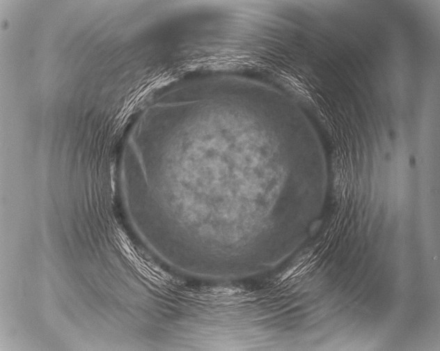 X0000053050542200507251425