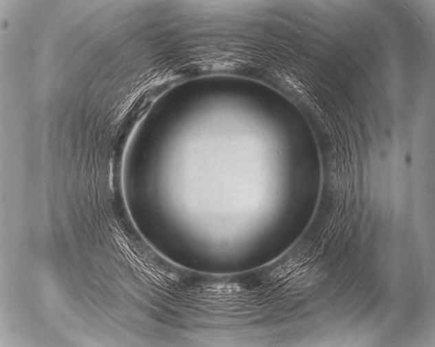 X0000053050543200507251425