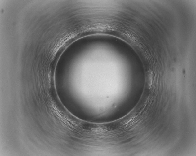 X0000053050544200507251425