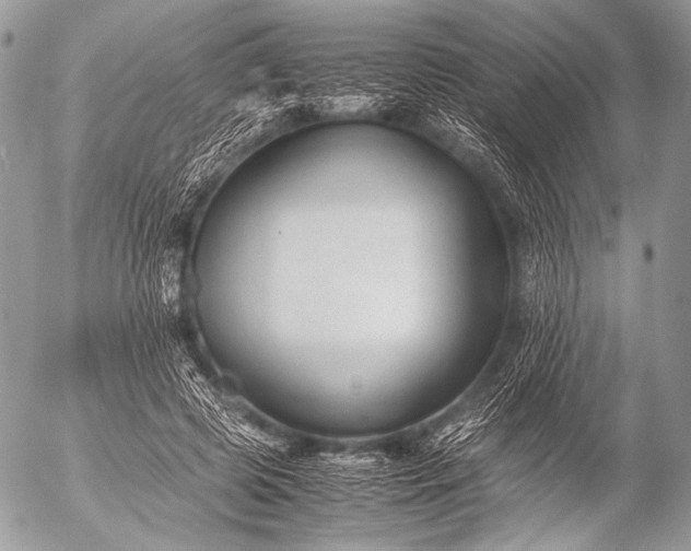 X0000053050545200507251425