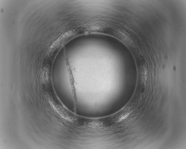 X0000053050546200507251425