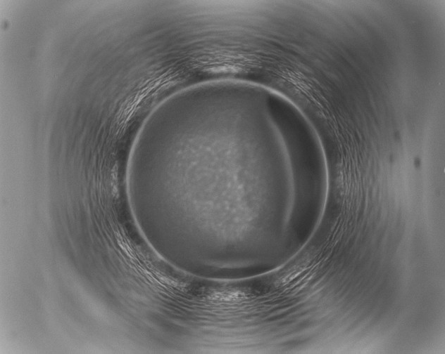 X0000053050547200507251425