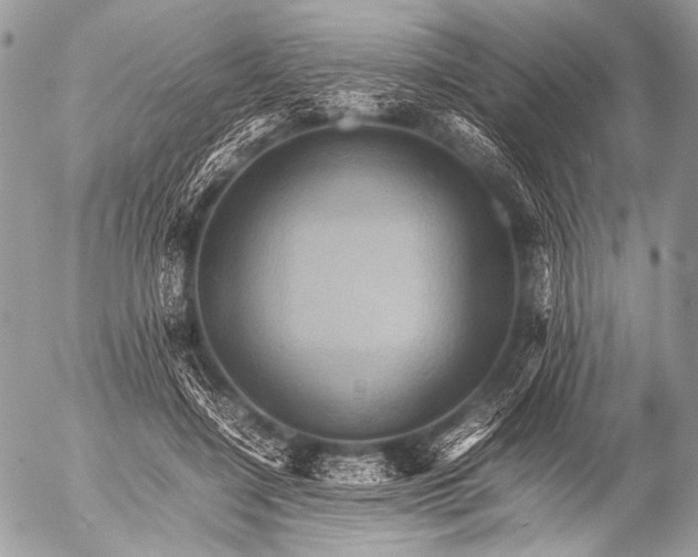 X0000053050548200507251425