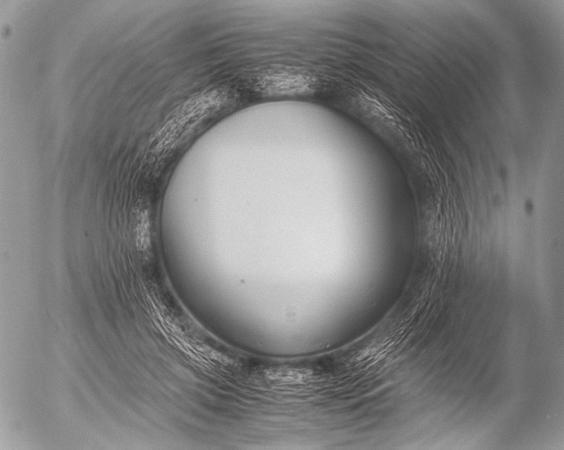 X0000053050549200507251425