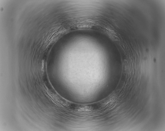 X0000053050550200507251425