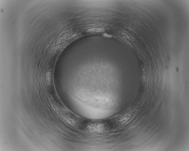 X0000053050551200507251426