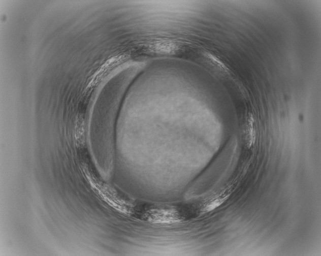 X0000053050552200507251426