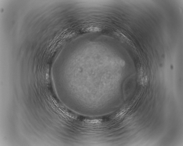 X0000053050553200507251426