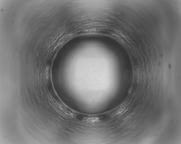 X0000053050554200507251426