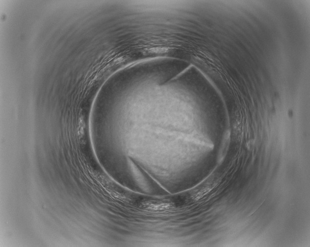 X0000053050555200507251426