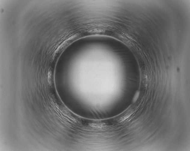 X0000053050556200507251426